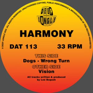 DAT113 Harmony – Vision / Dogs / Wrong Turn